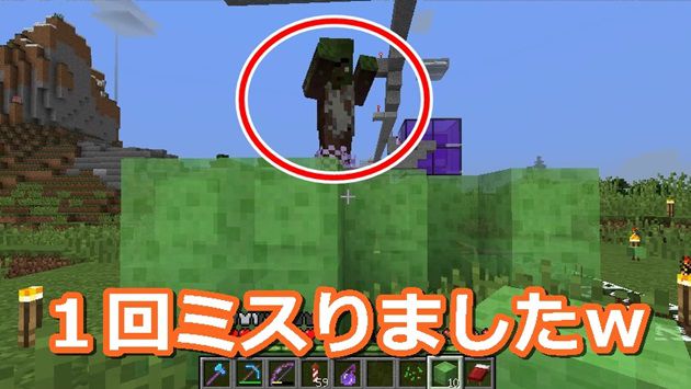 ゾンビ マイクラ 治療 村人