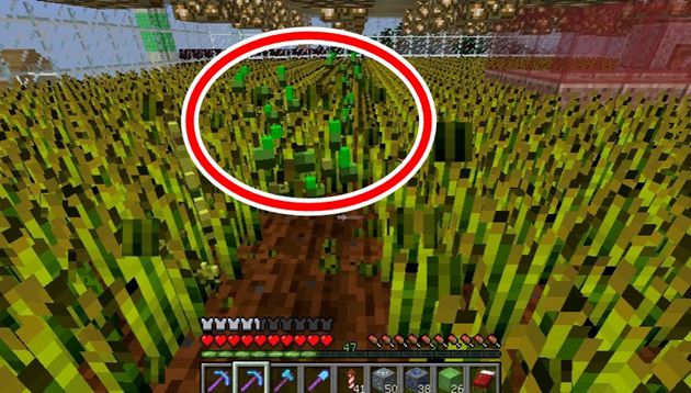 マイクラ 幸運とは 使い道 出現確率 入手方法など解説 3 オロオロktのマイクラブログ マイクラ 幸運とは 使い道 出現確率 入手方法など解説 3 オロオロktのマイクラブログ