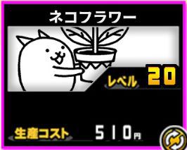 f:id:orooroKT:20180909003722j:plain ネコフラワー