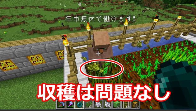 村人が小麦を収穫