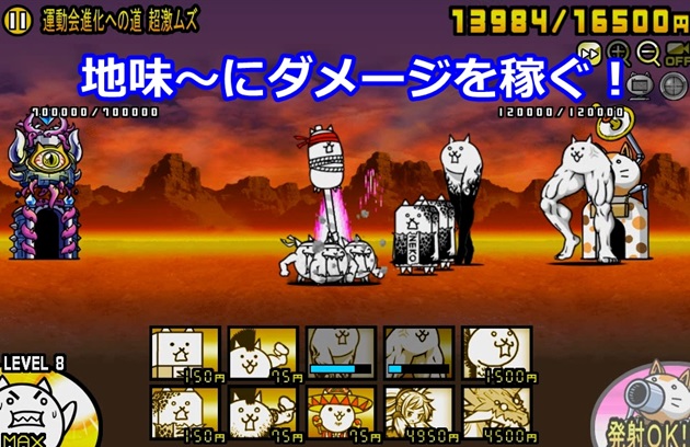 狂乱の美脚ネコで攻撃