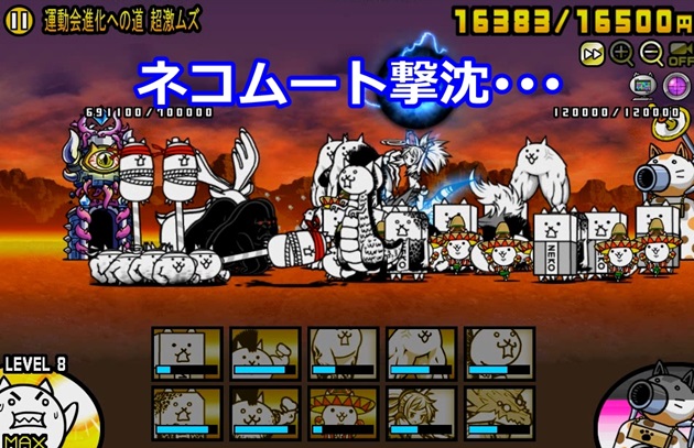 ネコムート撃沈