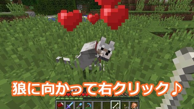 かわいい 狼 犬 の飼い方 繁殖 首輪の色変更方法を解説 オロオロktのマイクラブログ