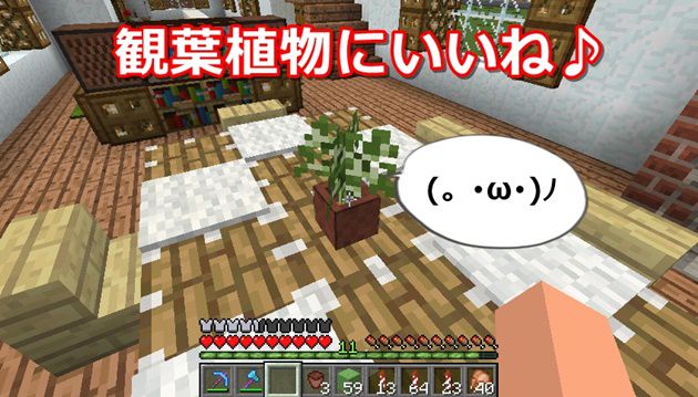 植木鉢の作り方と植え方 サボテンはスゴく変わるね 笑 オロオロktのマイクラブログ