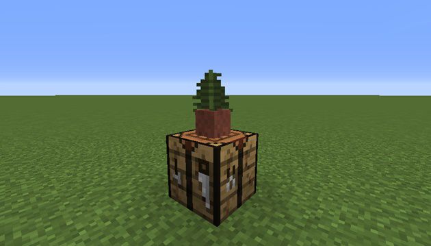 植木鉢の作り方と植え方 サボテンはスゴく変わるね 笑 オロオロktのマイクラブログ