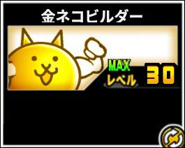 金ネコビルダー