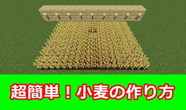 初心者用 小麦の作り方をイチから10まで徹底解説 オロオロktのマイクラブログ