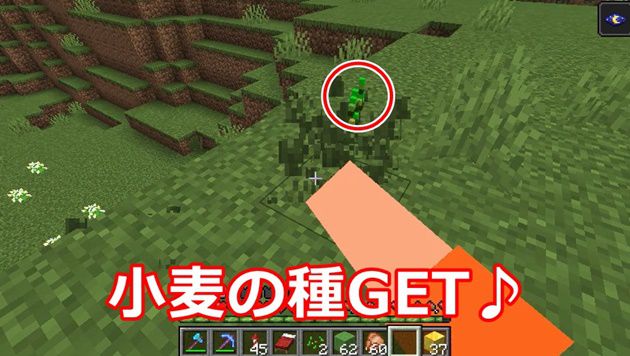 初心者用 小麦の作り方をイチから10まで徹底解説 オロオロktのマイクラブログ