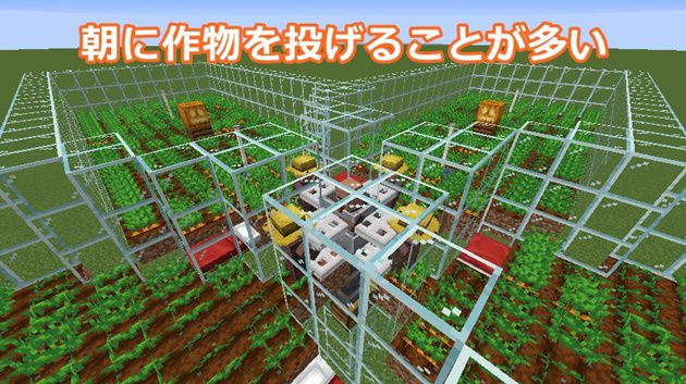 朝の村人の作業風景