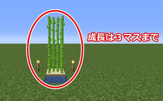 サトウキビ 栽培 マイクラ