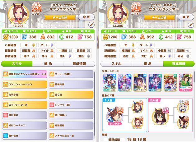 天井でレンタル枠を自由に使えるのが強い！