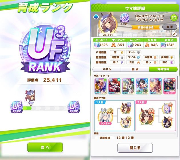 マチタンのステータス