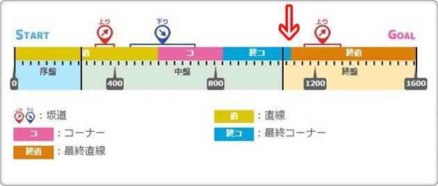 安田記念コース図