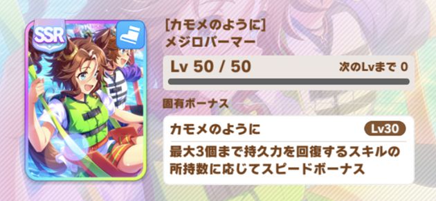 SSRメジロパーマーの固有ボーナス