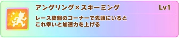 アングリング×スキーミング