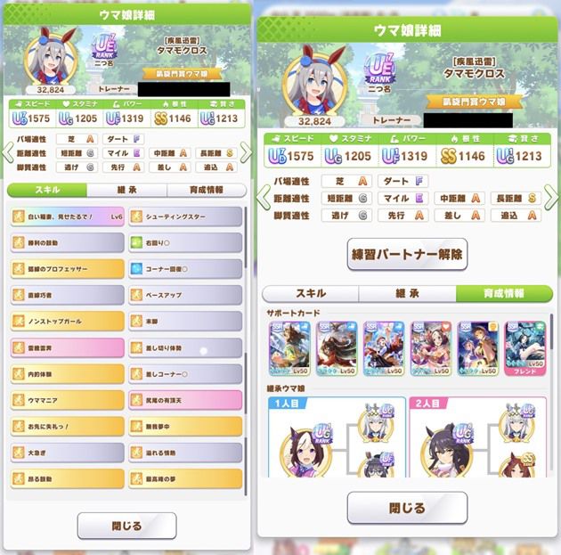 タマモクロス