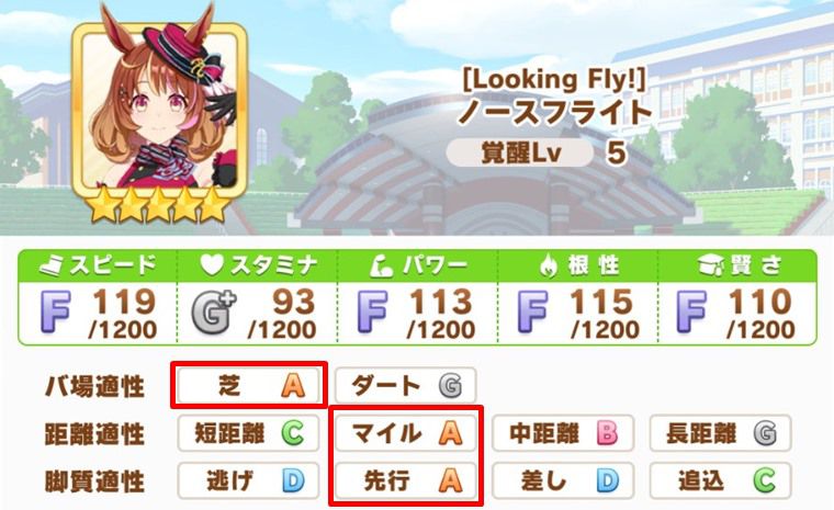 フーちゃんが強いレース