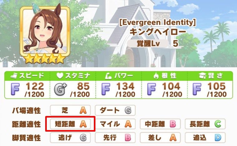 花嫁キングが強いレース