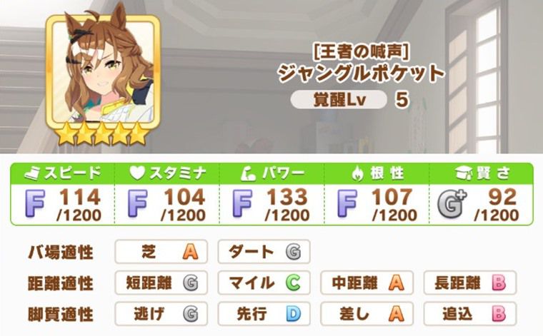 劇場版ポッケが強いレース