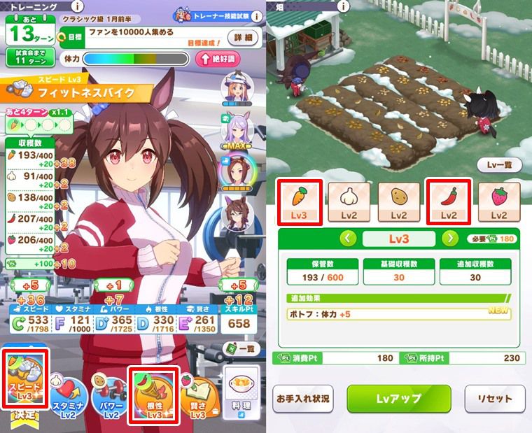 コツ③:畑レベルは即上げ2