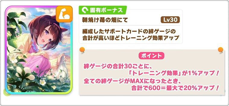 SSRニシノフラワーの固有ボーナス