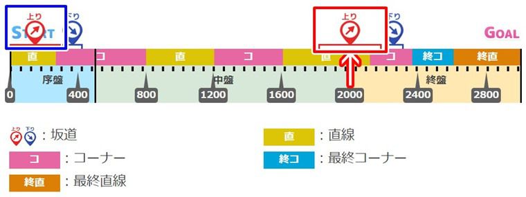 菊花賞のコース図