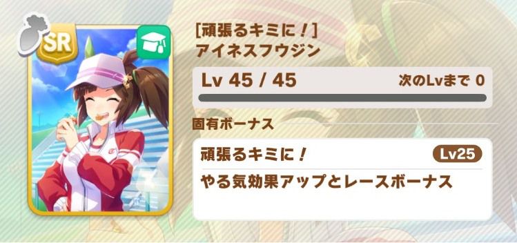 SRアイネス（賢さ）