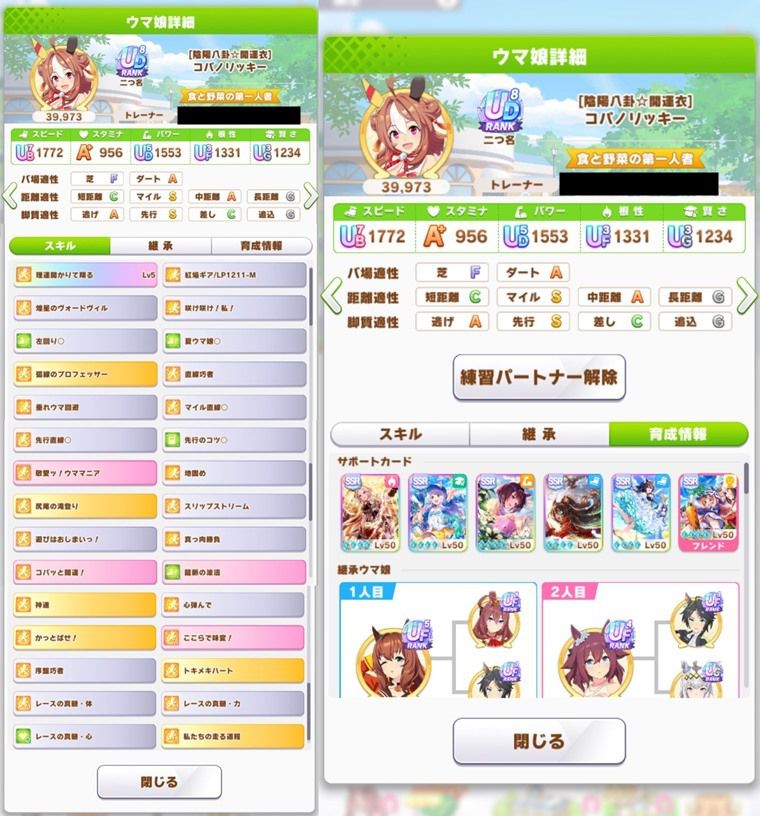 コパノリッキー（先行）