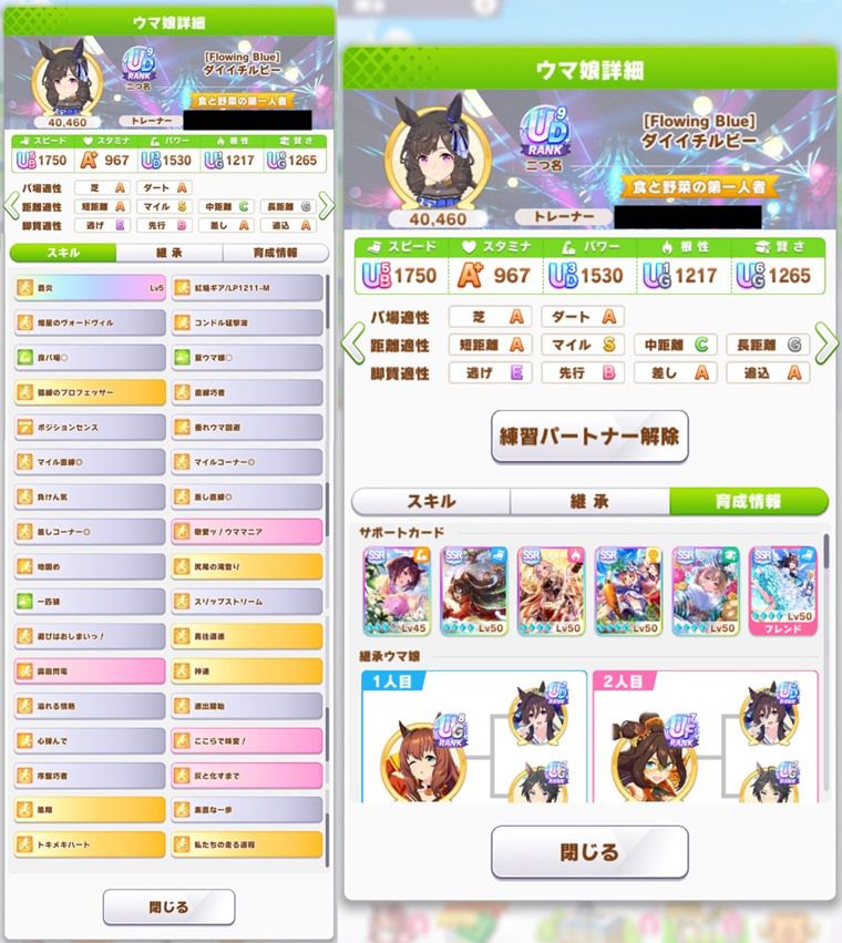 ダイイチルビー（青）