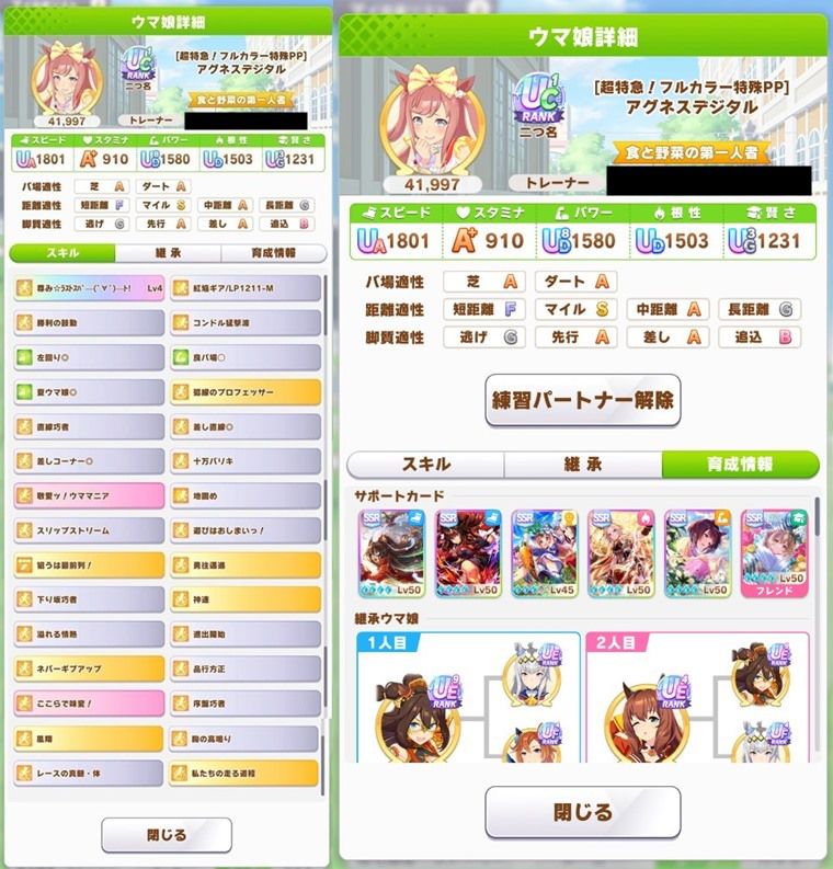 アグネスデジタル（差し）