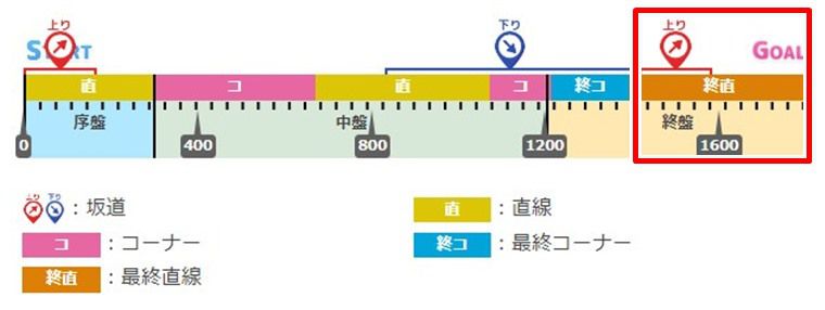 8月ダートチャンミの最終直線