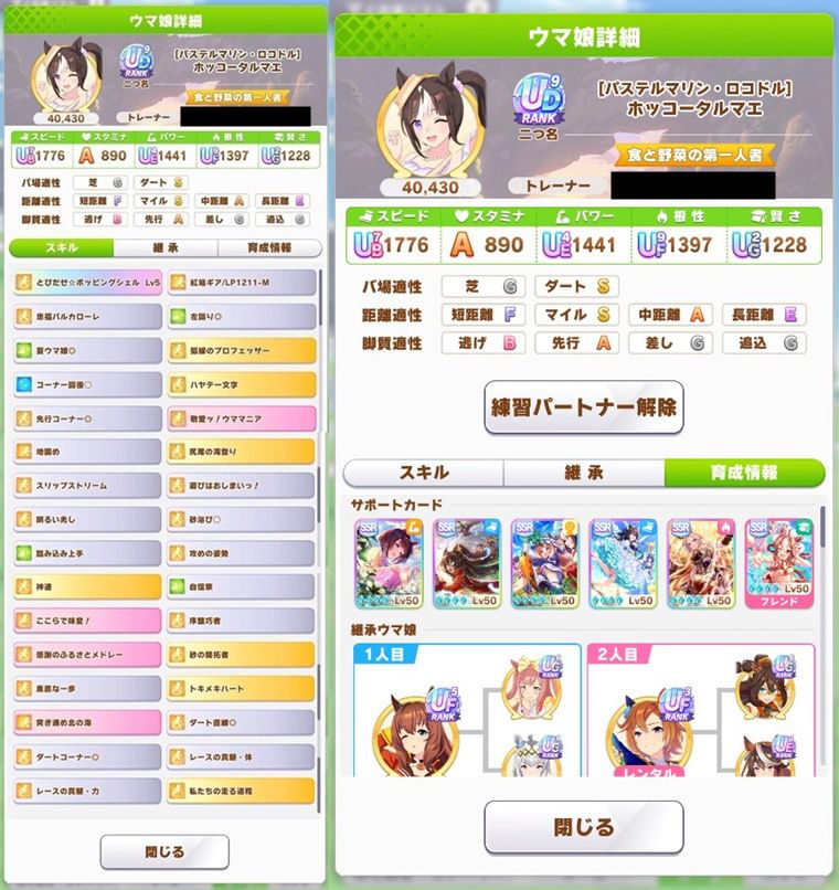 水着ホッコータルマエ
