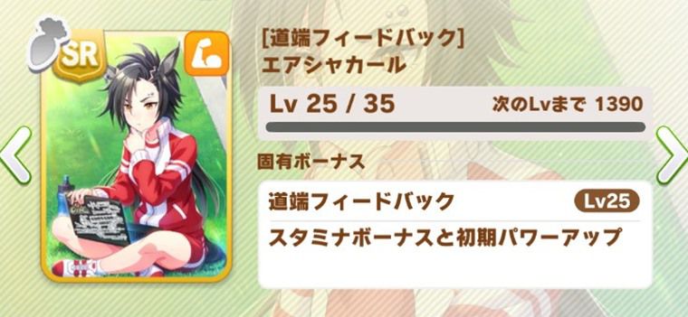 追込向け因子周回サポカ3