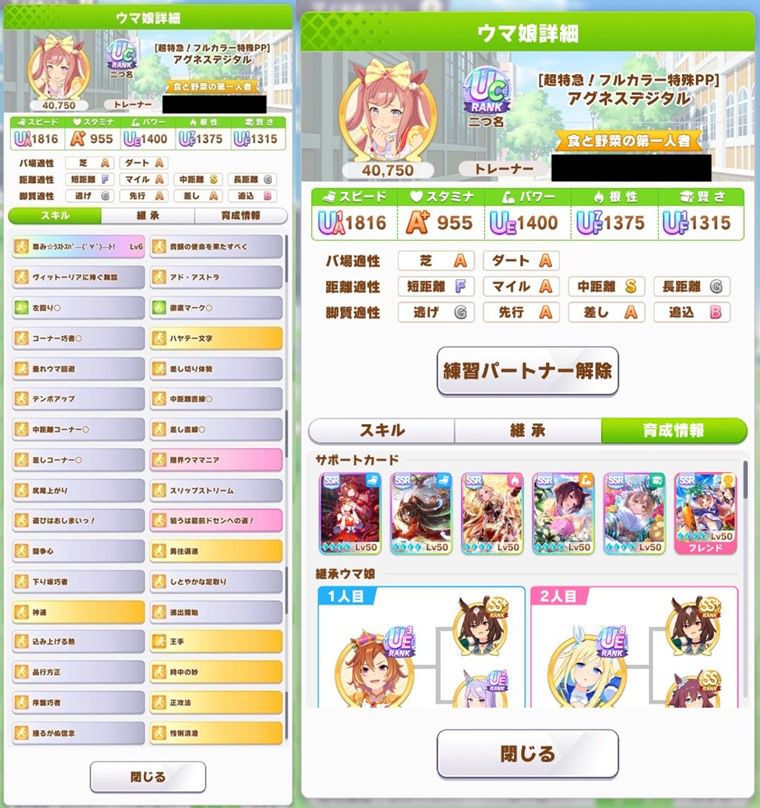 Tier表：S評価6