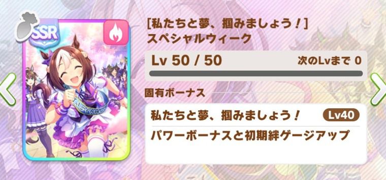 汎用の因子周回サポカ