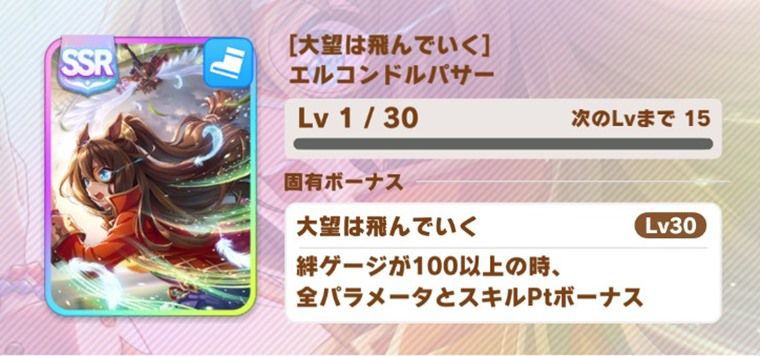 汎用の因子周回サポカ