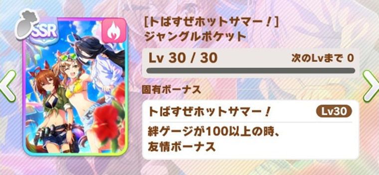 差し向け因子周回サポカ