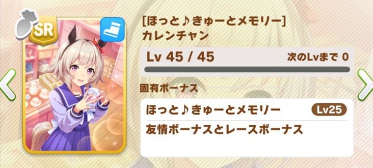 先行向け因子周回サポカ