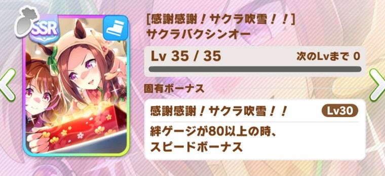 汎用の因子周回サポカ