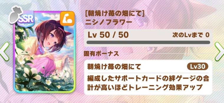 汎用の因子周回サポカ