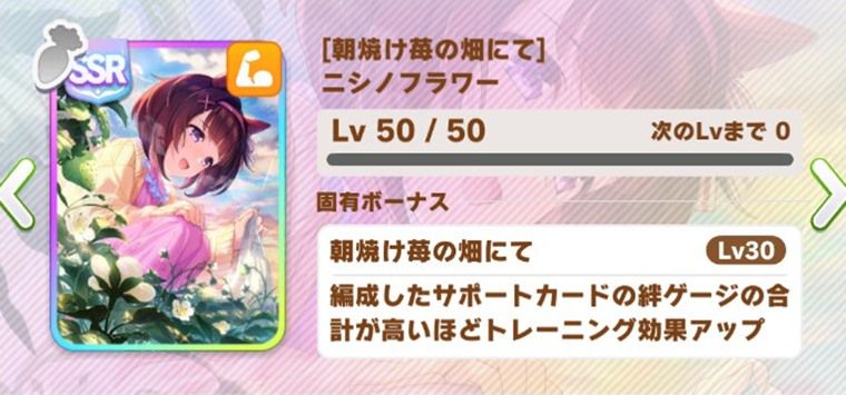 汎用の因子周回サポカ