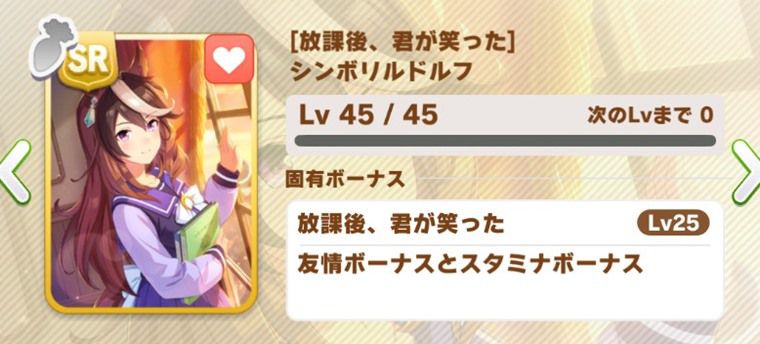 SRサポカ