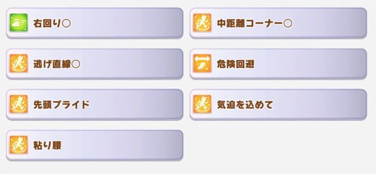 SSRサポカ