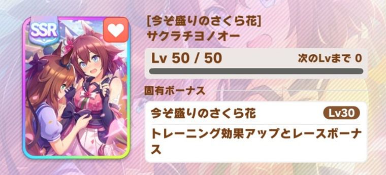 SSRサポカ