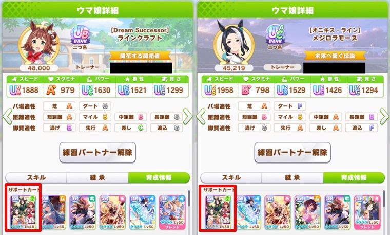 伝説の体現者は何凸すべき？
