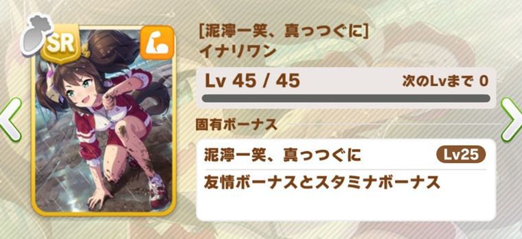 SRイナリ（パワー）
