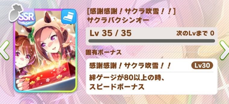 特別SRR引換券のおすすめサポカ