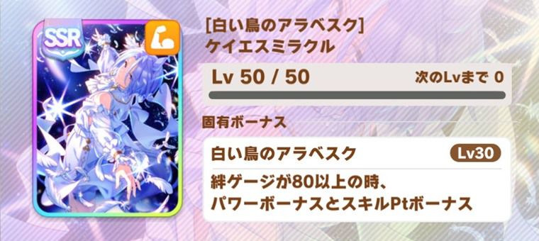 SSRケイエス（パワー）