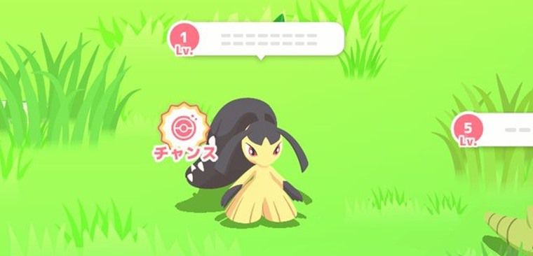 クチートの主な役割
