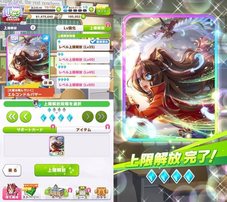 スピード5枚のサポカ編成